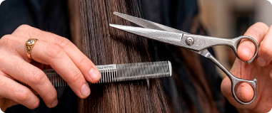 Corte