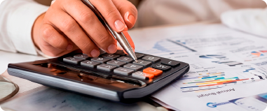 Costos, precios y rentabilidad
